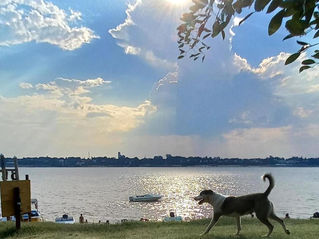 Apartamento Con Vista Al Rio Parana, A Cuadras Del Monumento A La Bandera! Rosario! Rosario